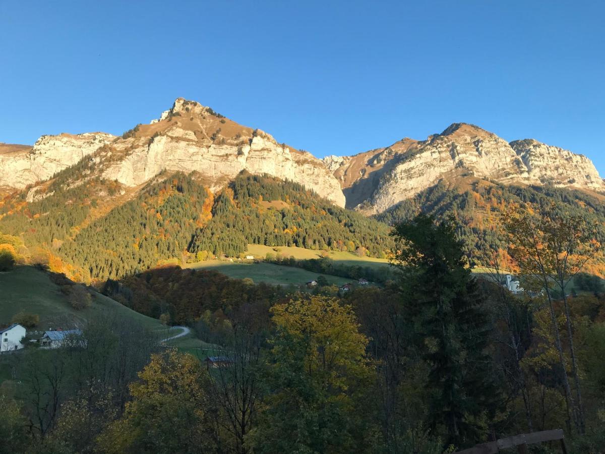 Magnifique T3 Entre Lac Et Montagne Pres D'Annecy Montmin Exterior photo